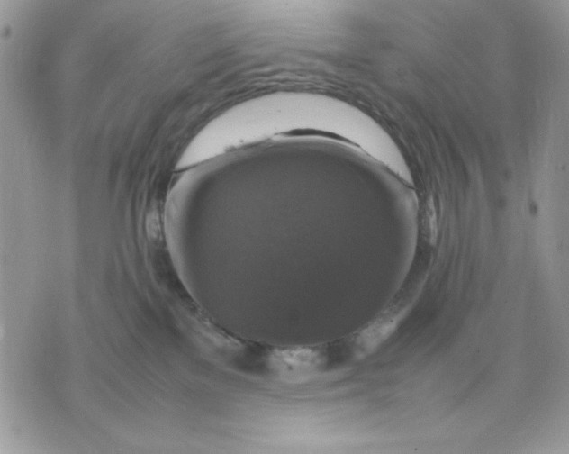 X0000075380137200609291600