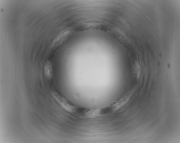 X0000075380138200609291600