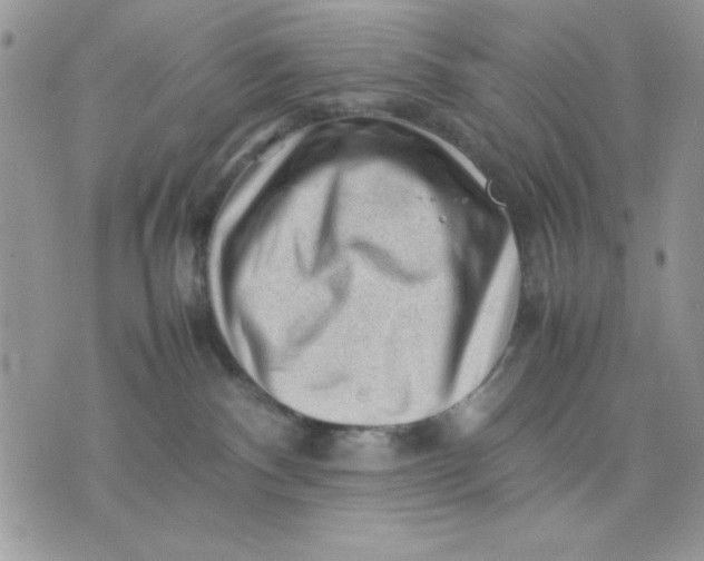 X0000075380140200609291600