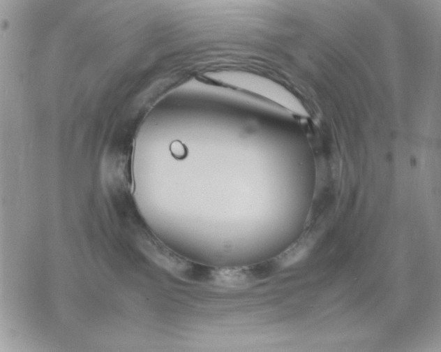 X0000075380141200609291600