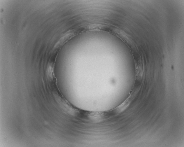 X0000075380142200609291600