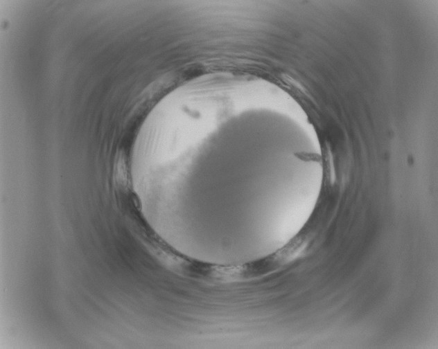 X0000075380143200609291600