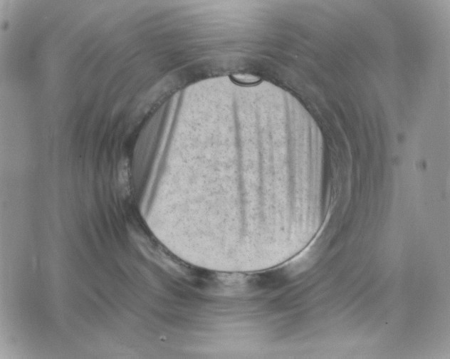 X0000075380144200609291600