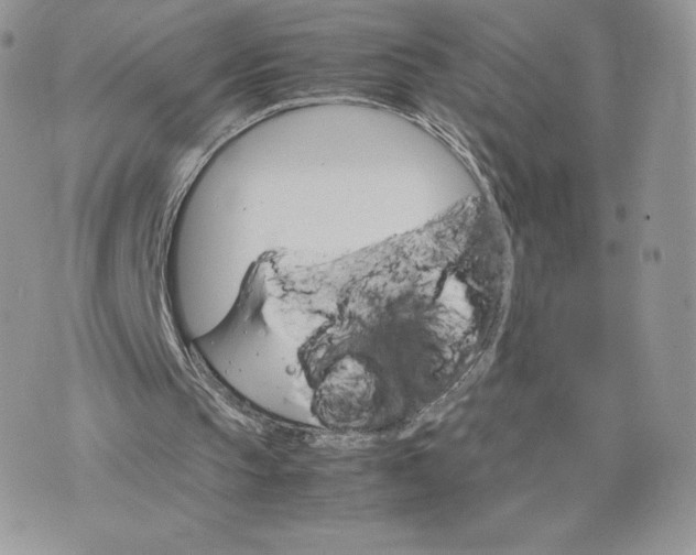 X0000075380145200609291559