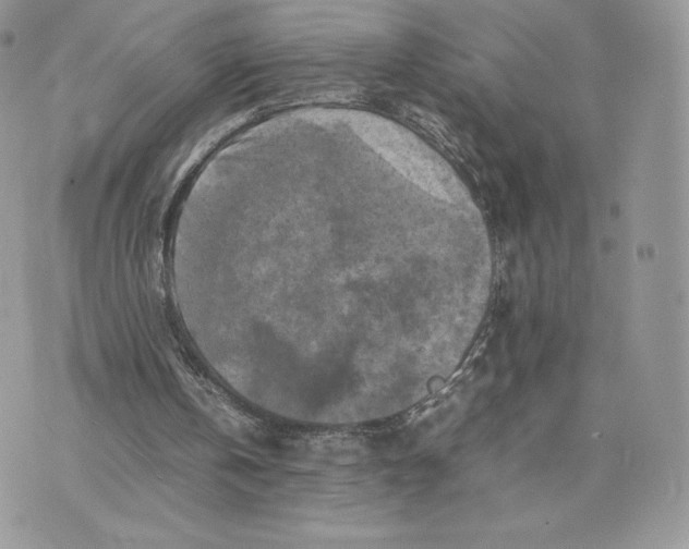 X0000075380146200609291559