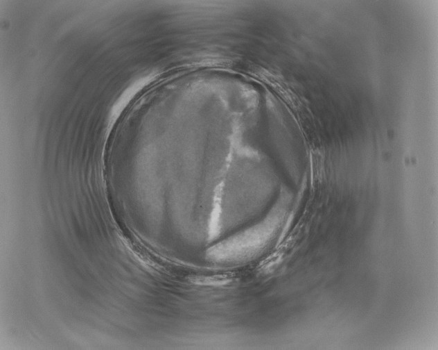 X0000075380147200609291559