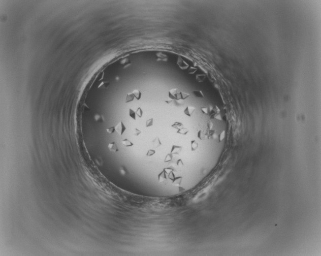 X0000075380148200609291559