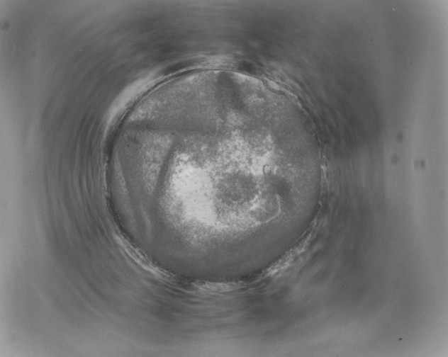 X0000075380149200609291559