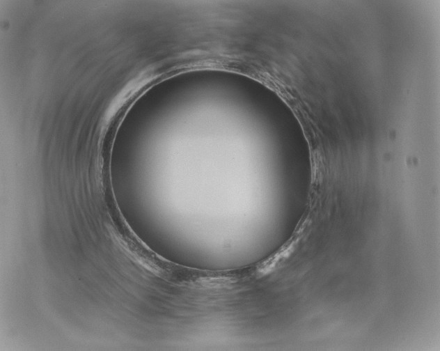 X0000075380150200609291600