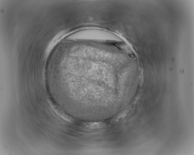 X0000075380151200609291600