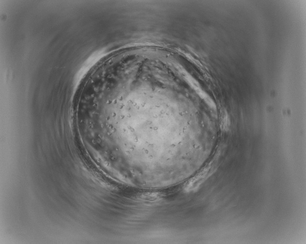 X0000075380152200609291600