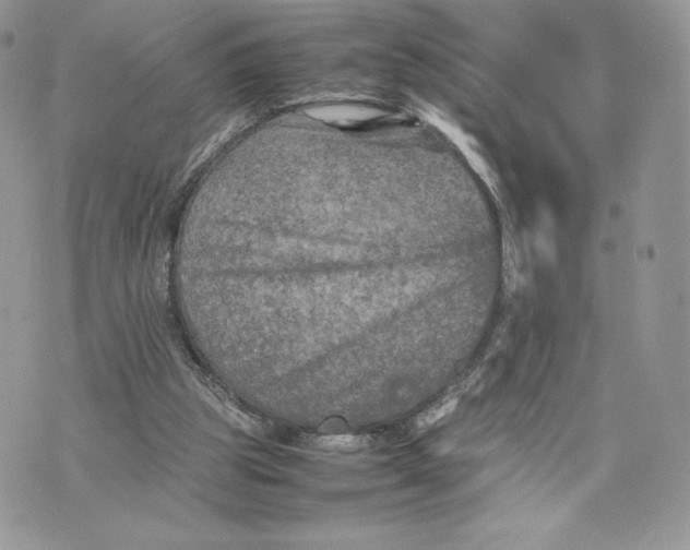 X0000075380153200609291600