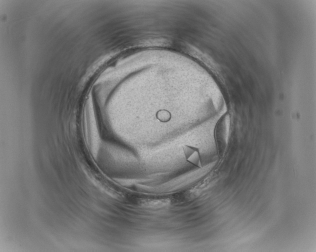 X0000075380155200609291600