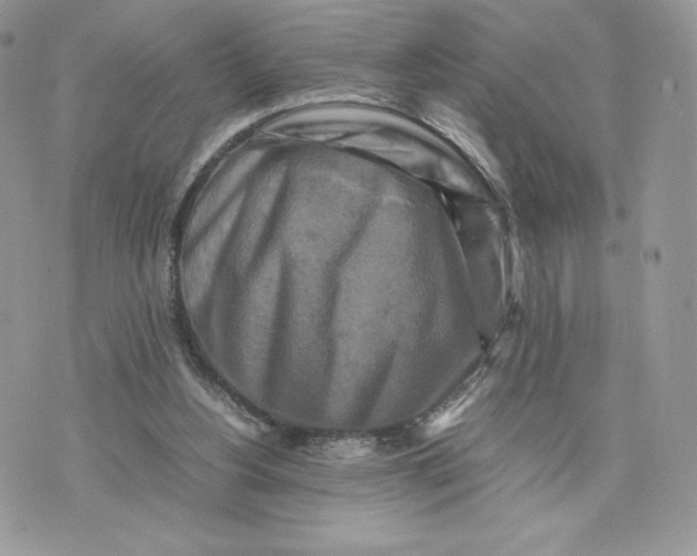 X0000075380156200609291600