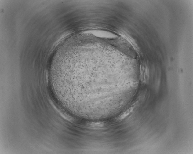 X0000075380157200609291600