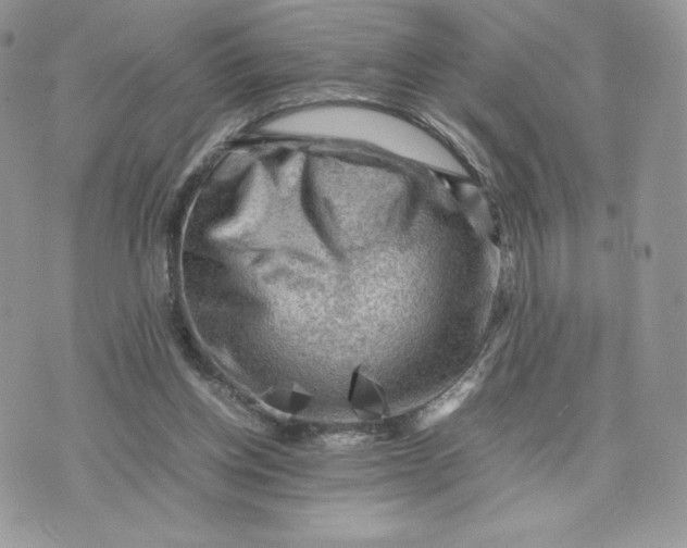 X0000075380158200609291600