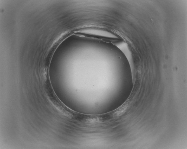 X0000075380160200609291600