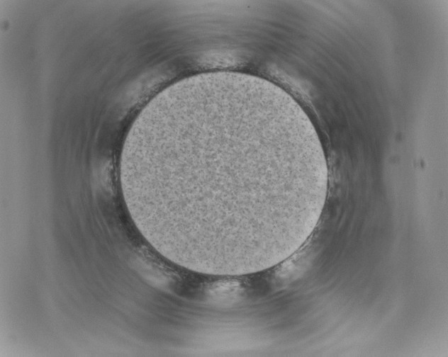 X0000075380162200609291600