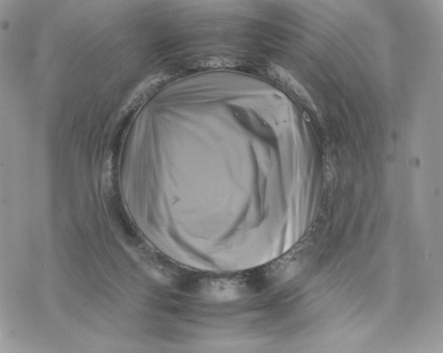 X0000075380163200609291600