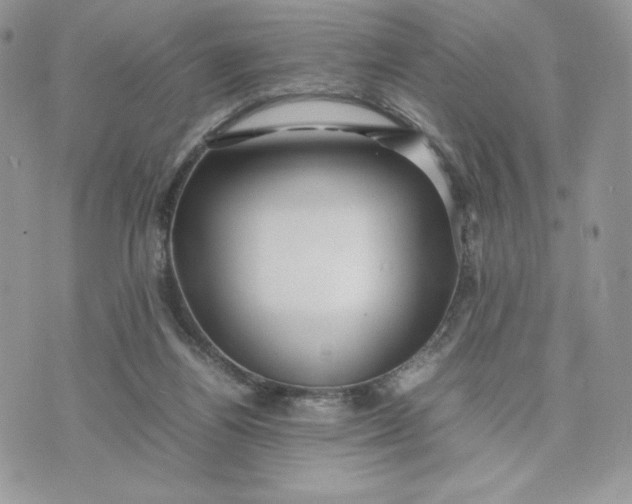 X0000075380164200609291600