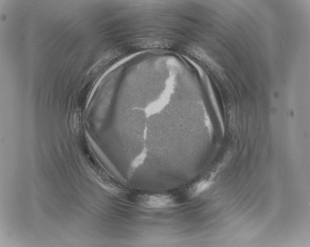 X0000075380165200609291600