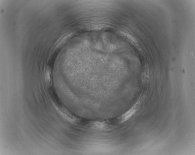 X0000075380166200609291600