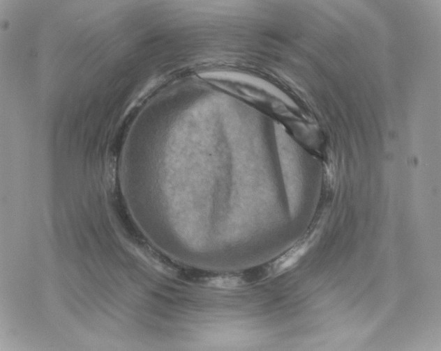 X0000075380168200609291600