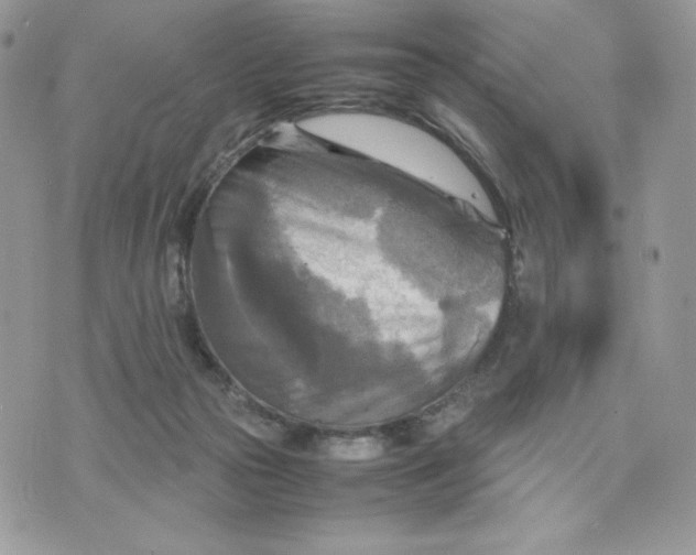 X0000075380169200609291600