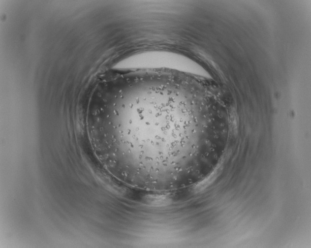 X0000075380170200609291600