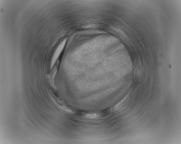 X0000075380171200609291600