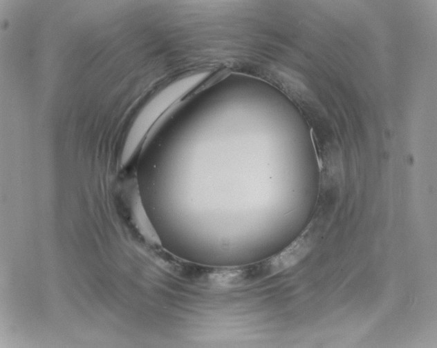 X0000075380172200609291600