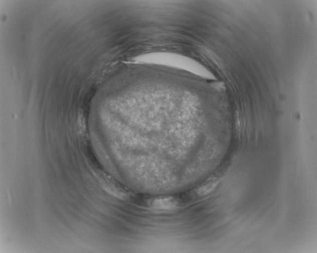 X0000075380173200609291600