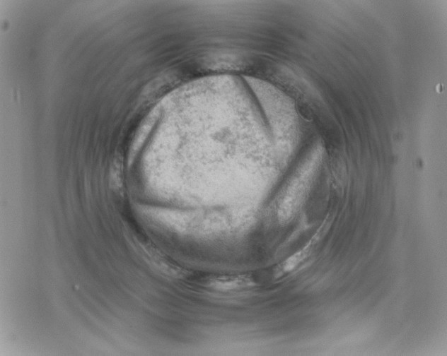 X0000075380175200609291600