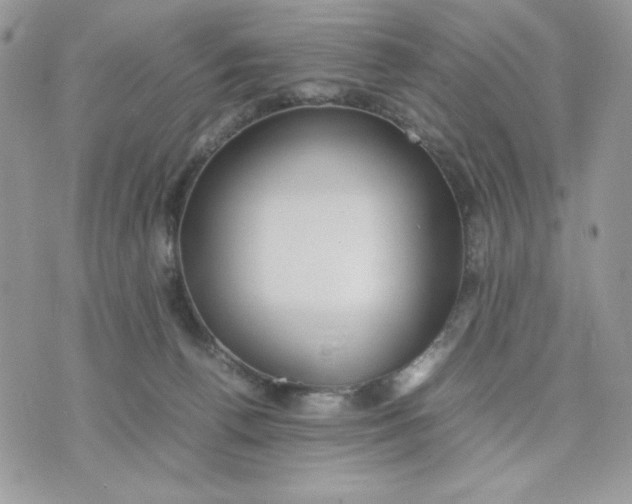 X0000075380176200609291600