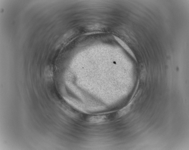 X0000075380179200609291600