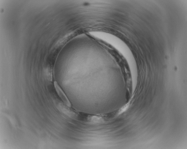 X0000075380180200609291600