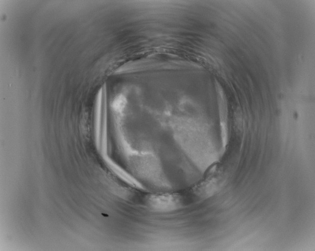 X0000075380181200609291600