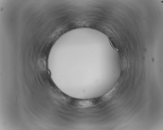 X0000075380183200609291600