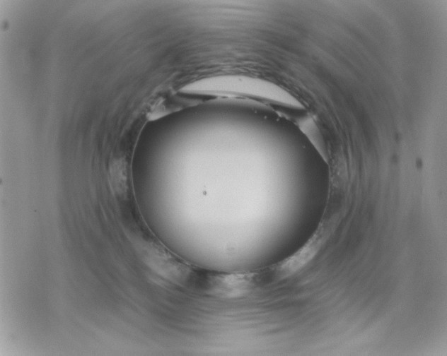 X0000075380184200609291600