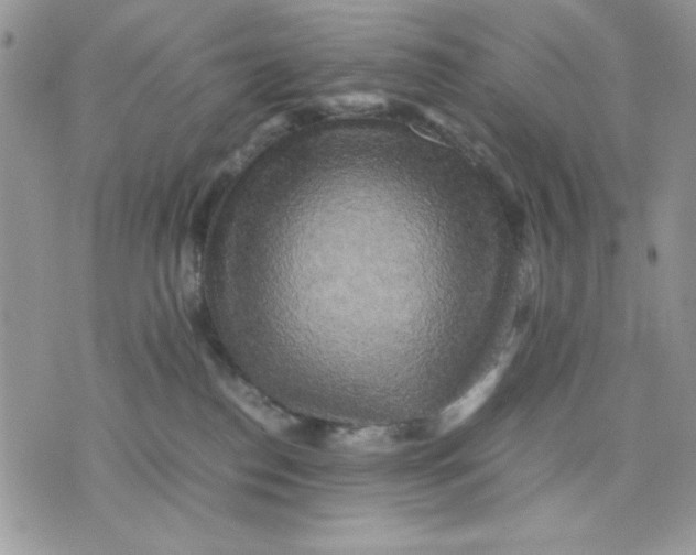 X0000075380186200609291600