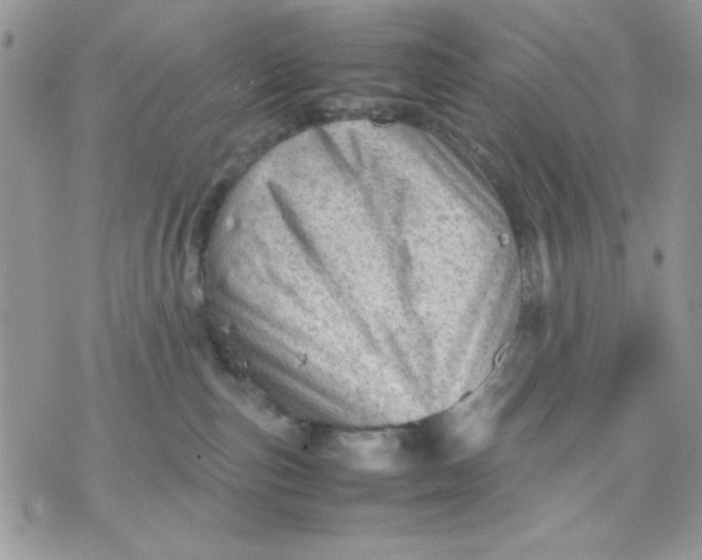 X0000075380187200609291600