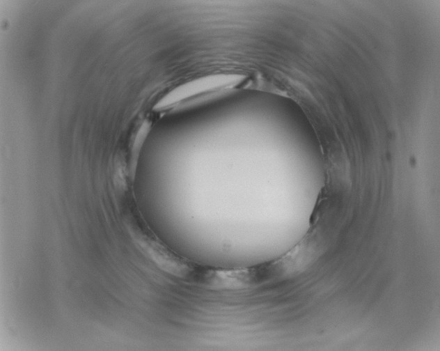 X0000075380188200609291600