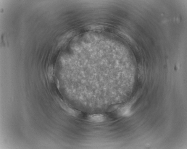 X0000075380189200609291600