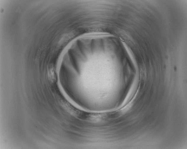 X0000075380190200609291600