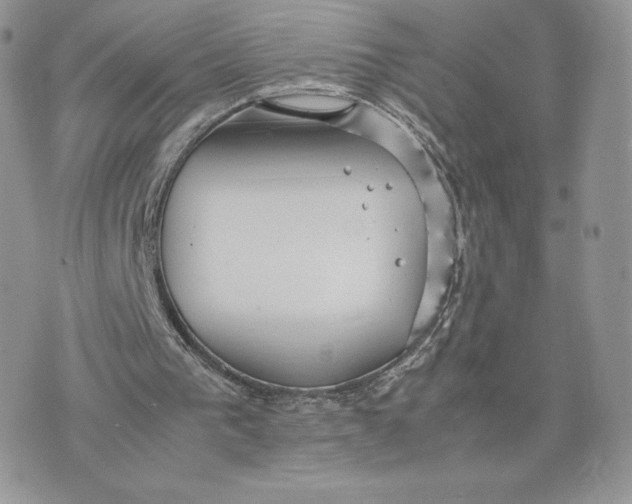 X0000075380193200609291559