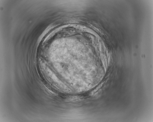 X0000075380195200609291559