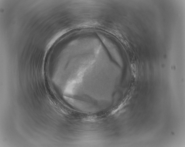 X0000075380196200609291559