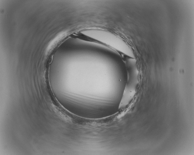 X0000075380197200609291559