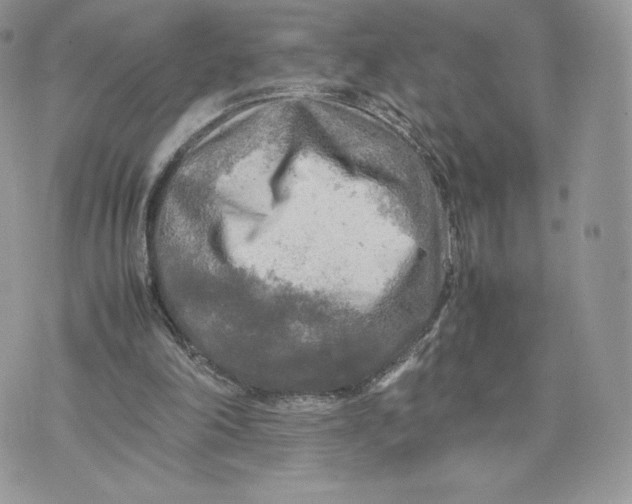 X0000075380198200609291559