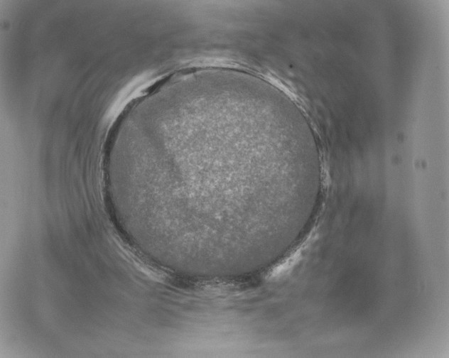 X0000075380199200609291559